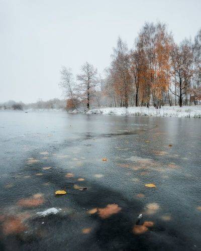Последние осенние дни