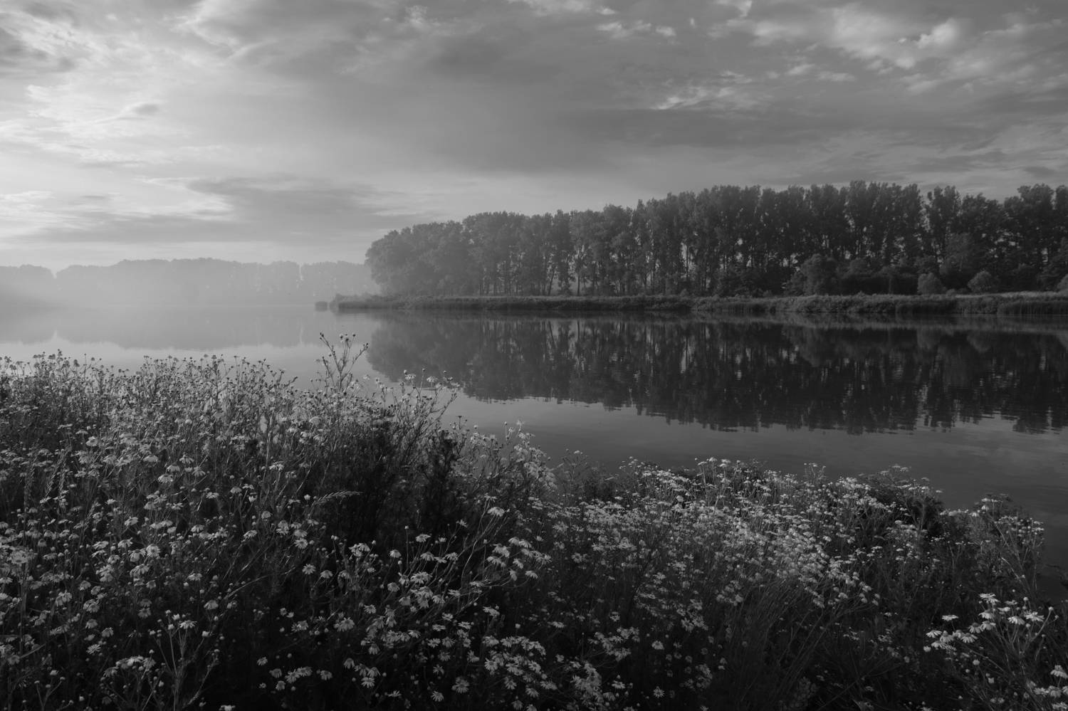 , Гайдук Евгений