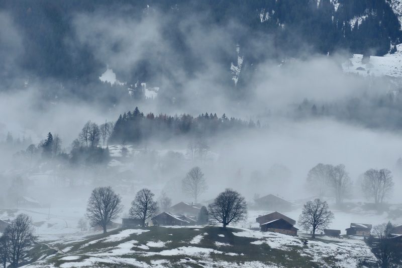 Misty morning фото превью