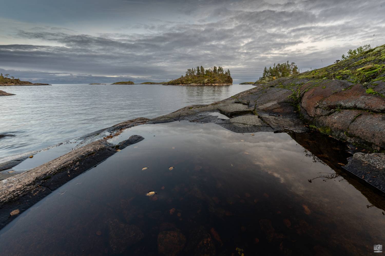 , Ковалев Дмитрий