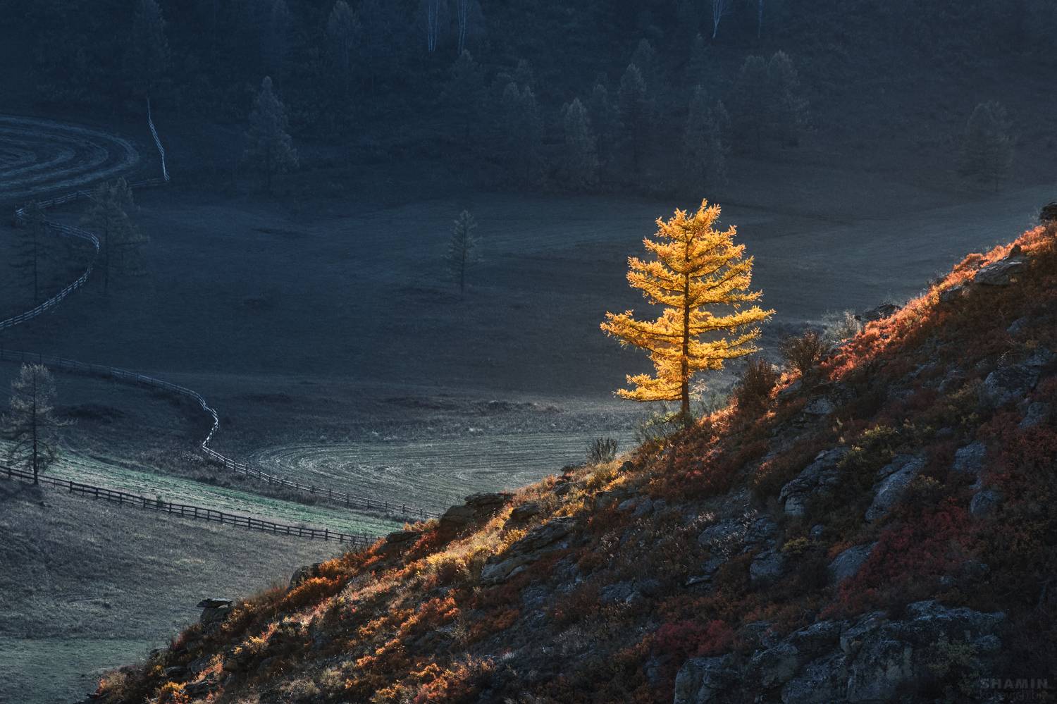 , Константин Шамин