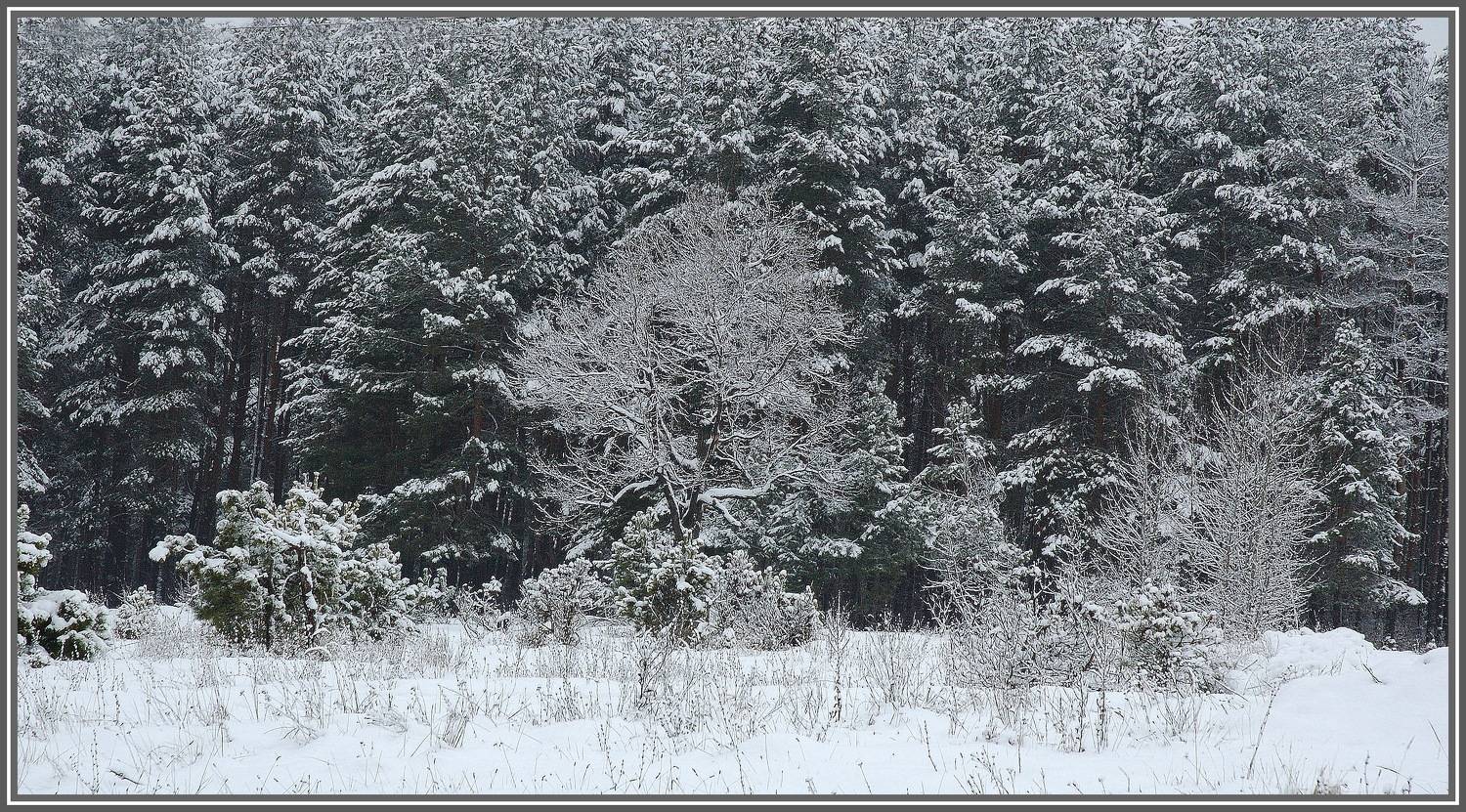 , Владимир Краснов