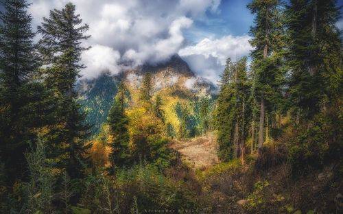 Утро в горах