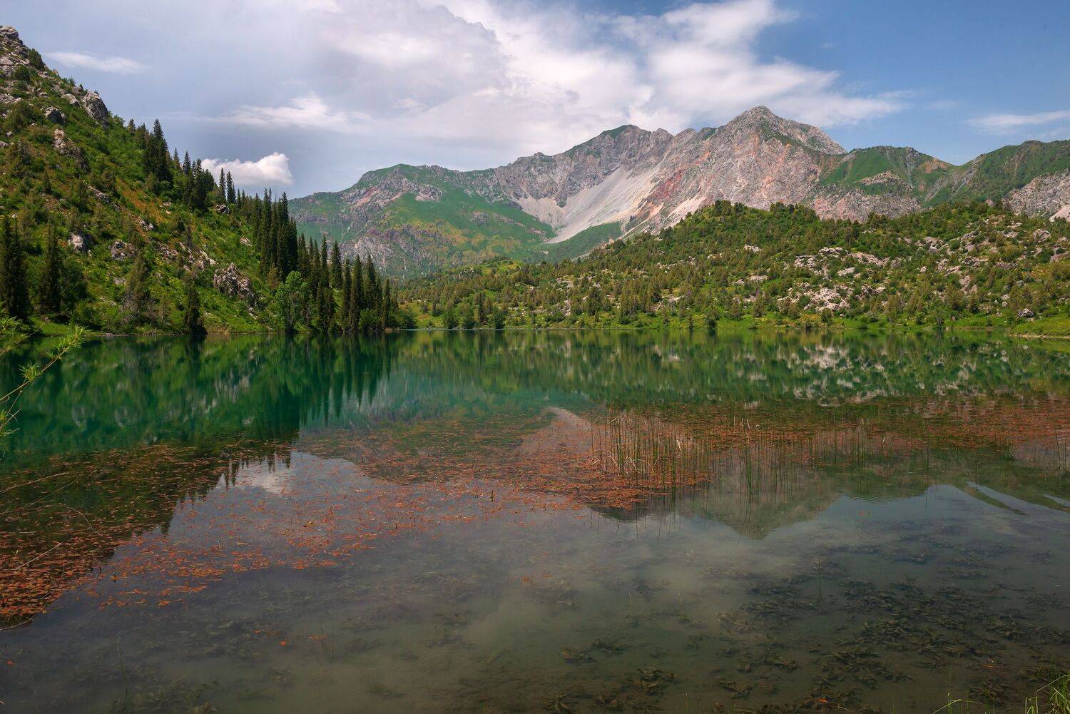 Киргизия, Сарычелек, Кутыгин Эдуард