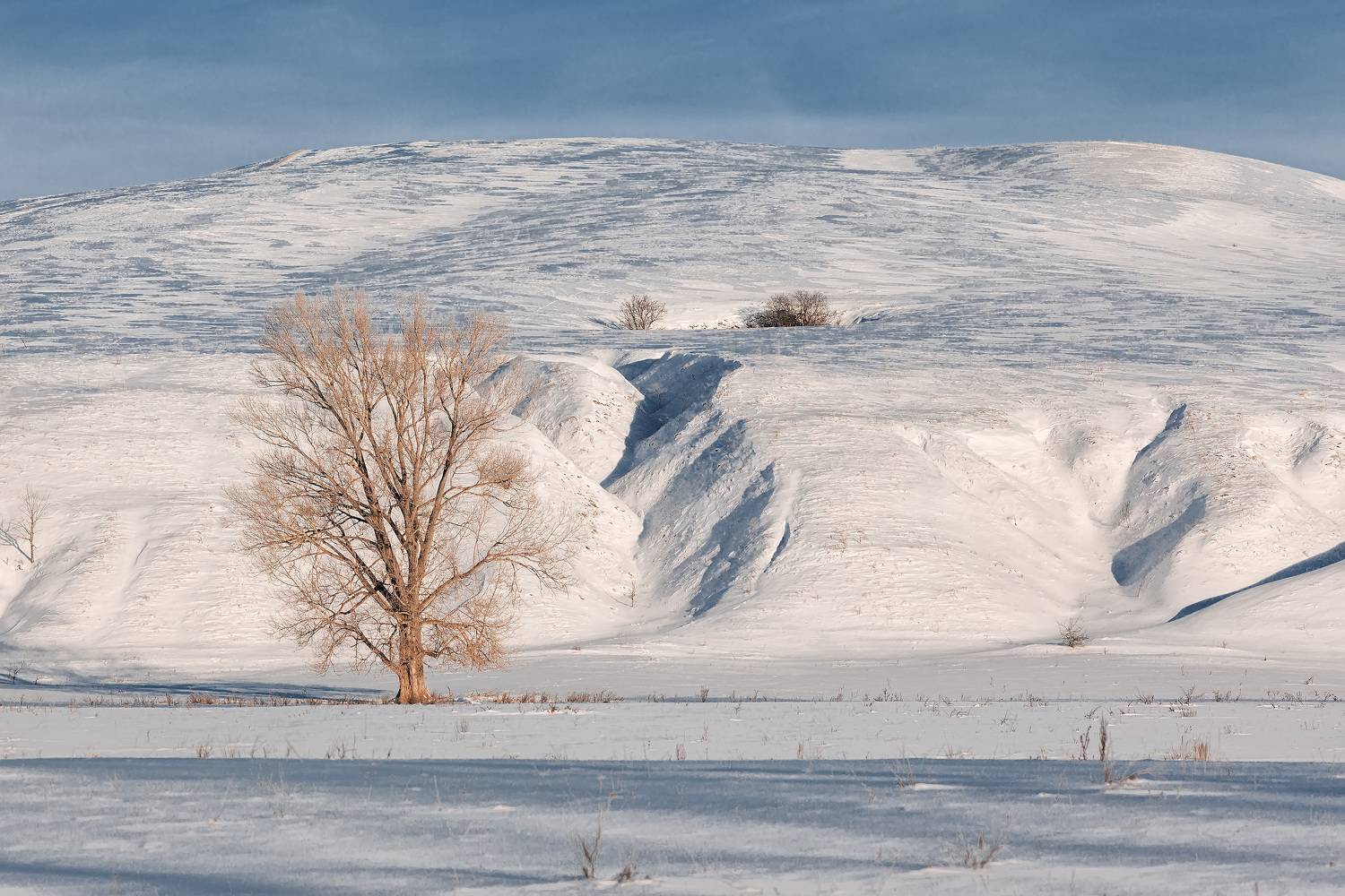 , Никитин Алексей