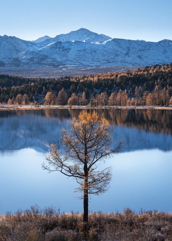 Рассвет на озере Киделю…  Dawn on Lake Kidelyu... фото превью