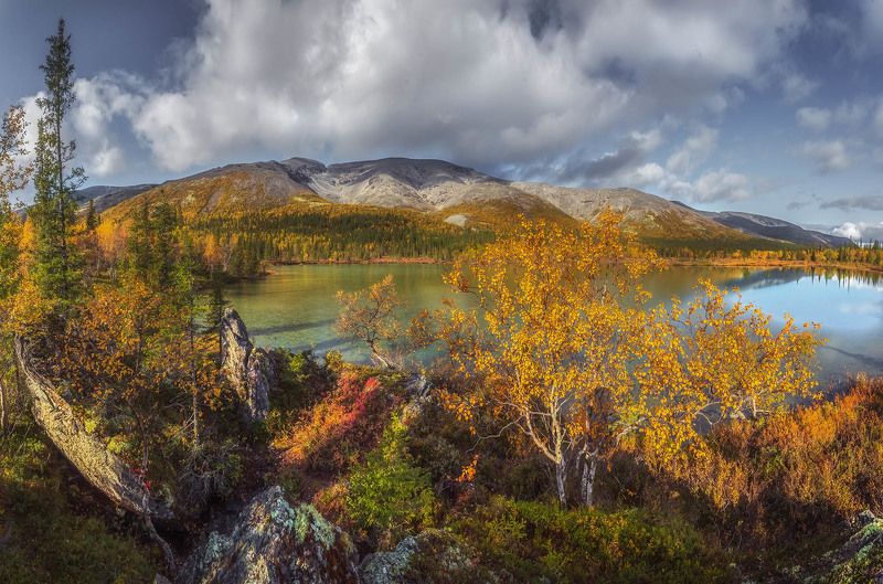 осень в Хибинах фото превью