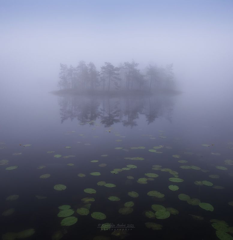 ... тумана много не бывает ... фото превью