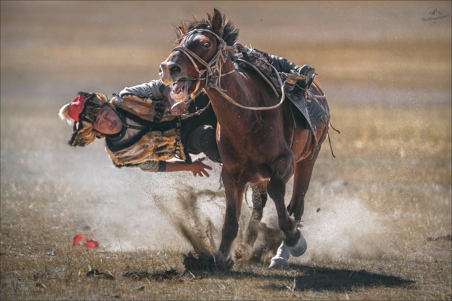 монголия, фототур в монголию, golden eagle festival, кочевники, golden eagle, беркут, беркутчи, фототур на алтай и в монголию, кумис алу, тенге алу, тенге илу, теңге ілу, Влад Соколовский