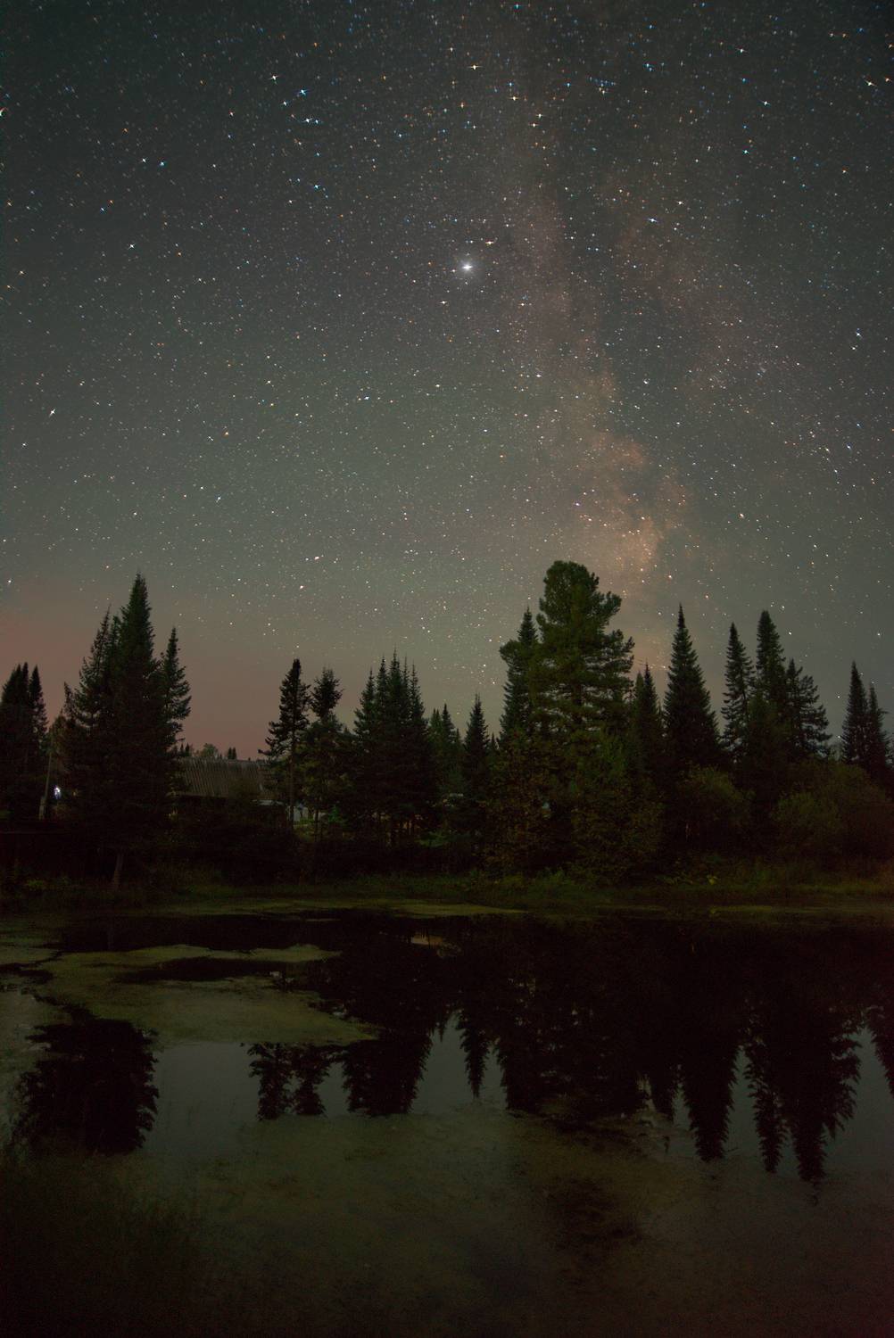 ночь, млечный путь, звездное небо, сибирь, тайга, night, nightphotography, stars, milkyway, longexposure, taiga, Кудашкина Ксения