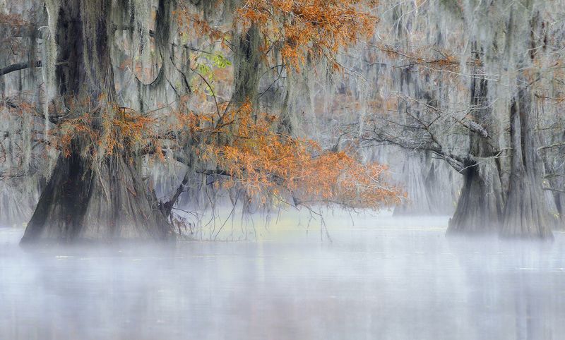 primordial scenery фото превью