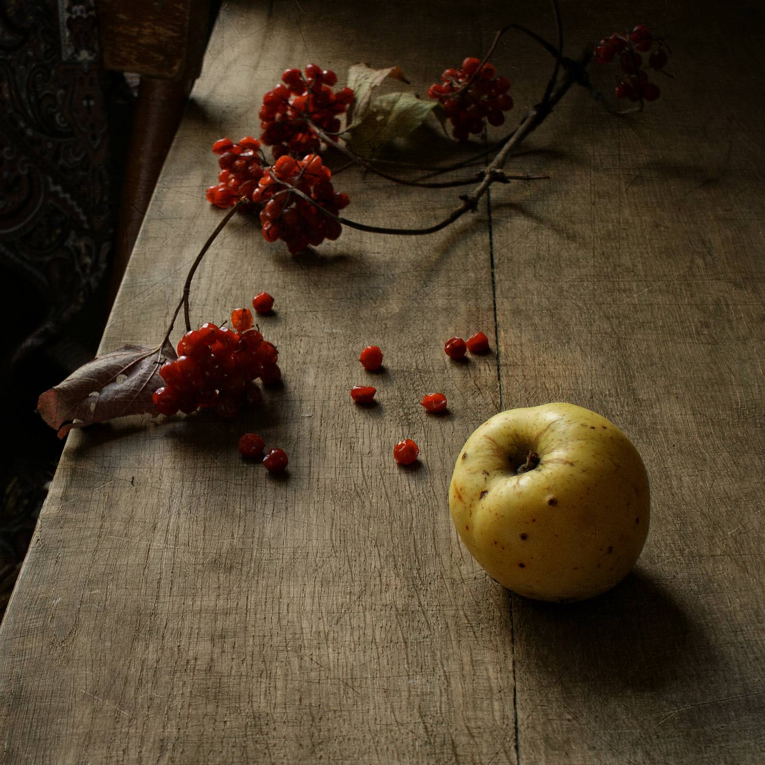 , Колеснева Елена