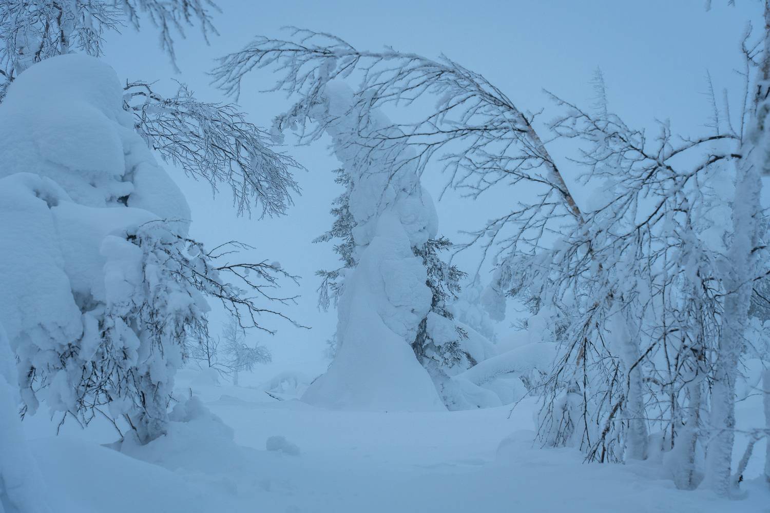 snow, Maria Pochikaeva