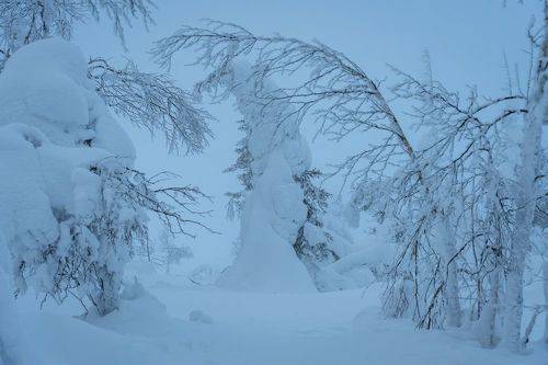 On the top of the snow mountain