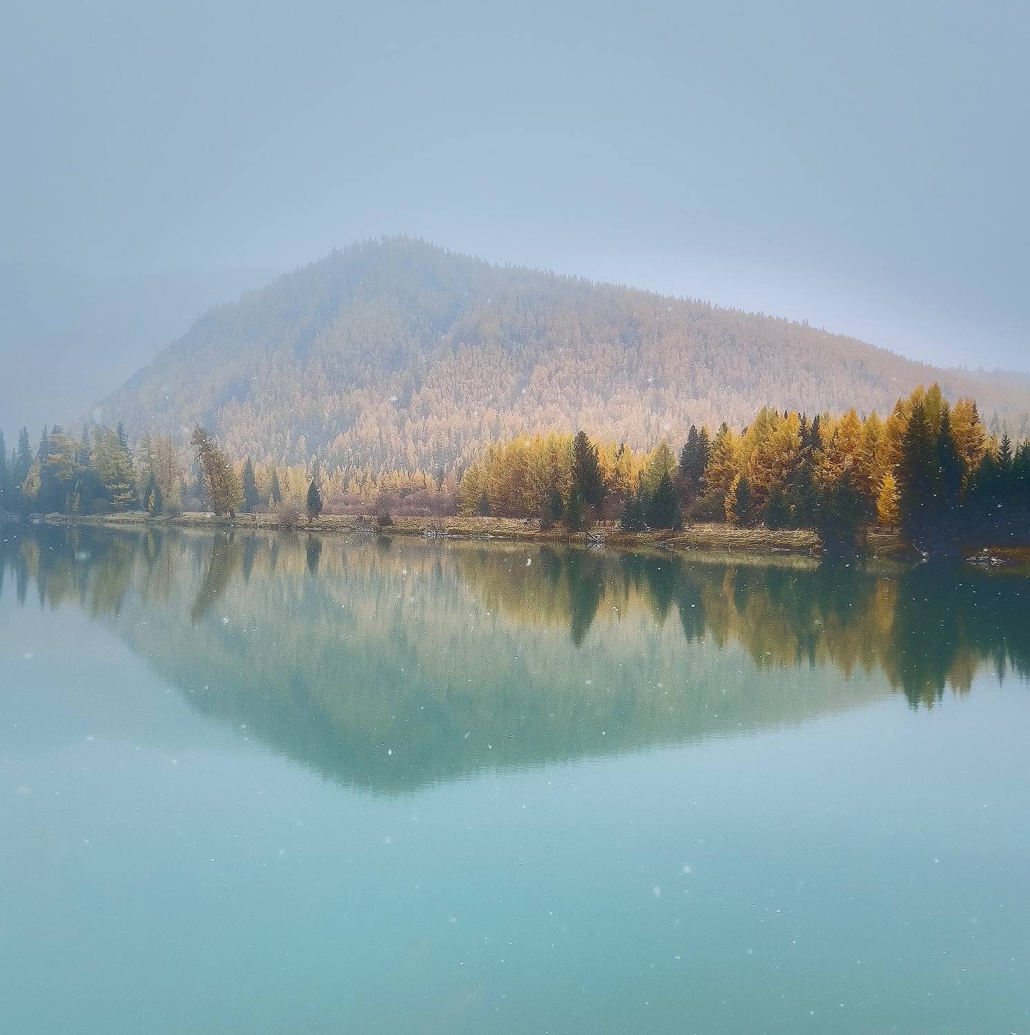 , Владимир Поляков