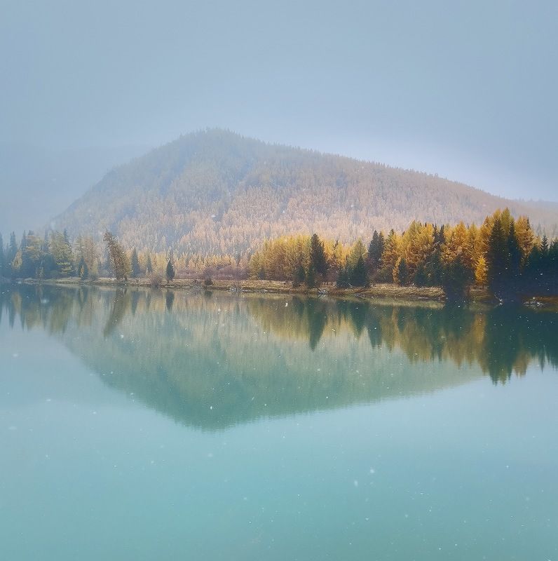 Первые снежинки. Горный Алтай фото превью