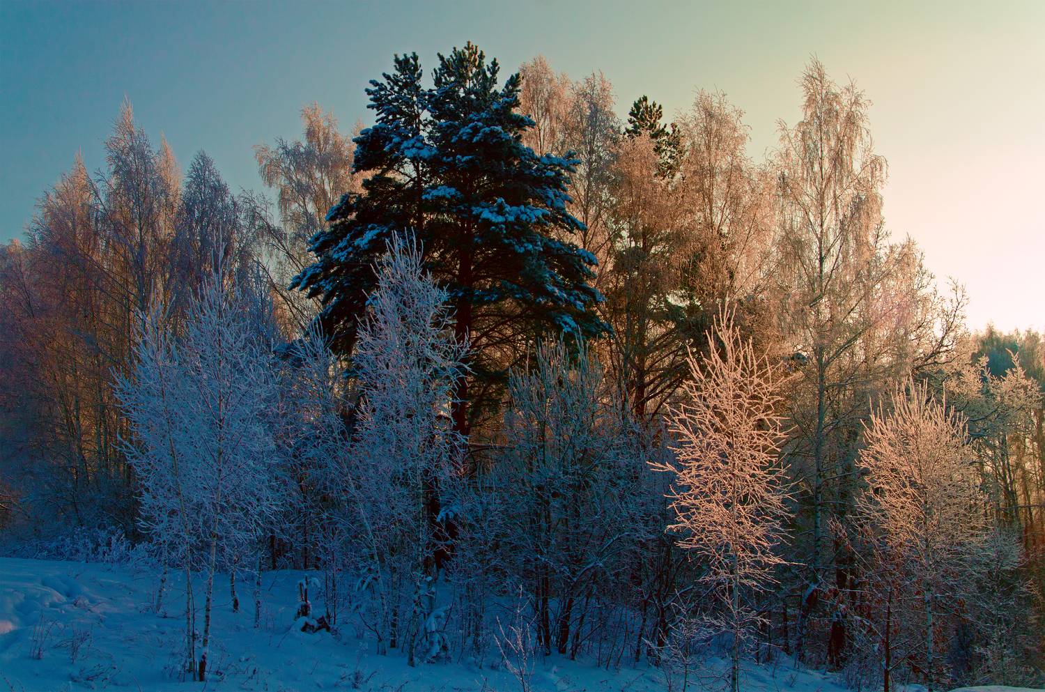 nevant60, пейзаж, красота, природа, Александр Березуцкий