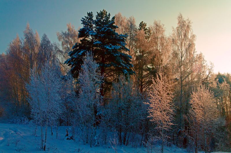 nevant60, пейзаж, красота, природа Зимний рассвет фото превью