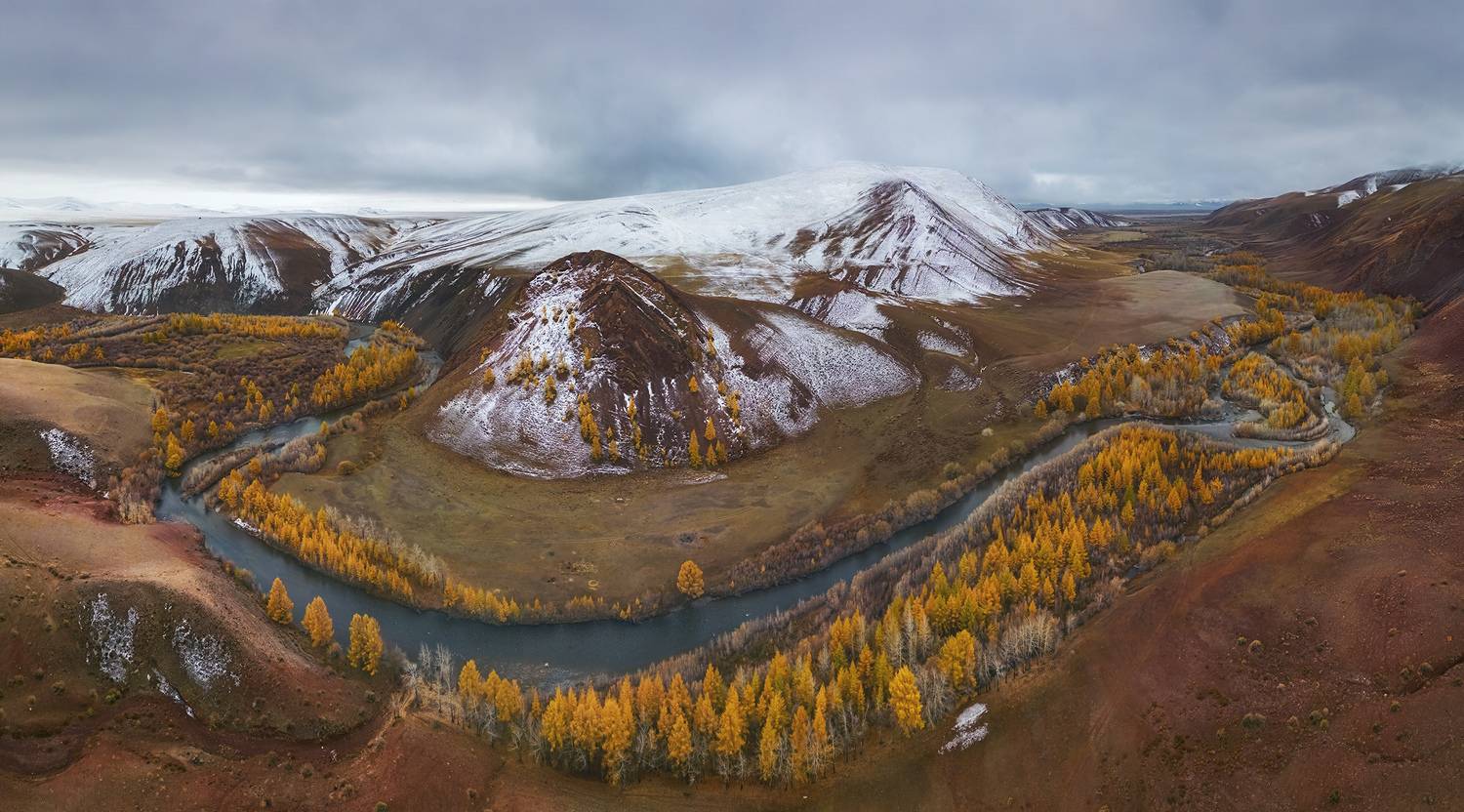 , Лещёнок Александр