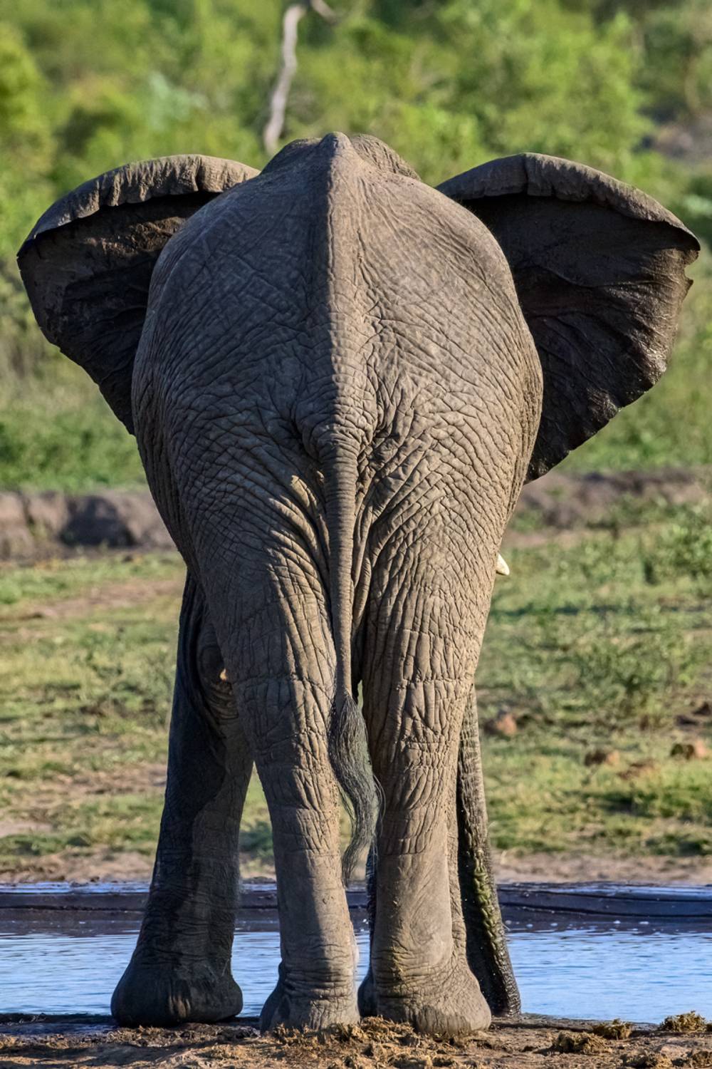 , Гордонов Юрий