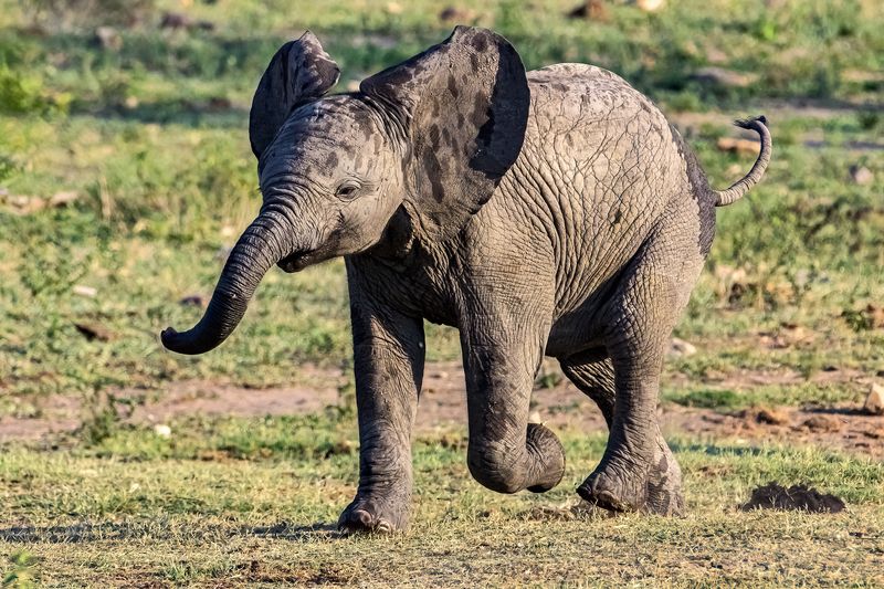 Мама, я умею летать! фото превью