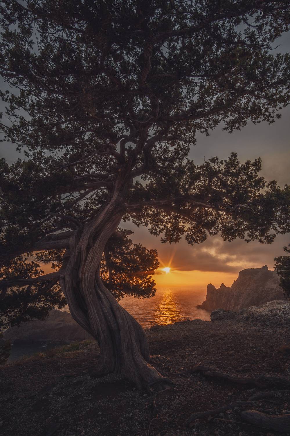 , Кривцов Андрей