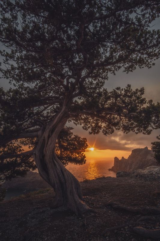 Мыс Капчик фото превью