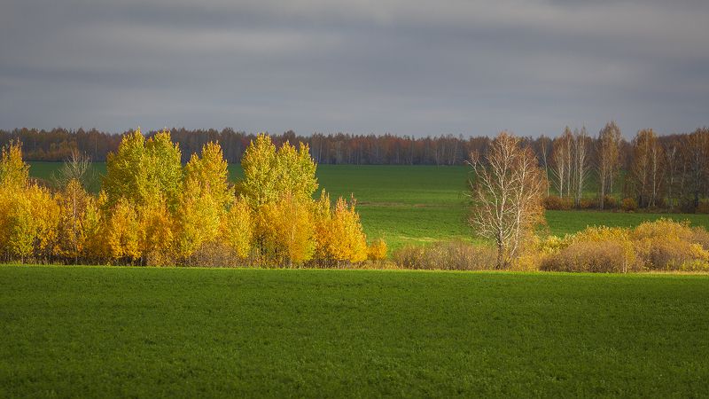 осень, цвет, свет, Сочная осень. фото превью
