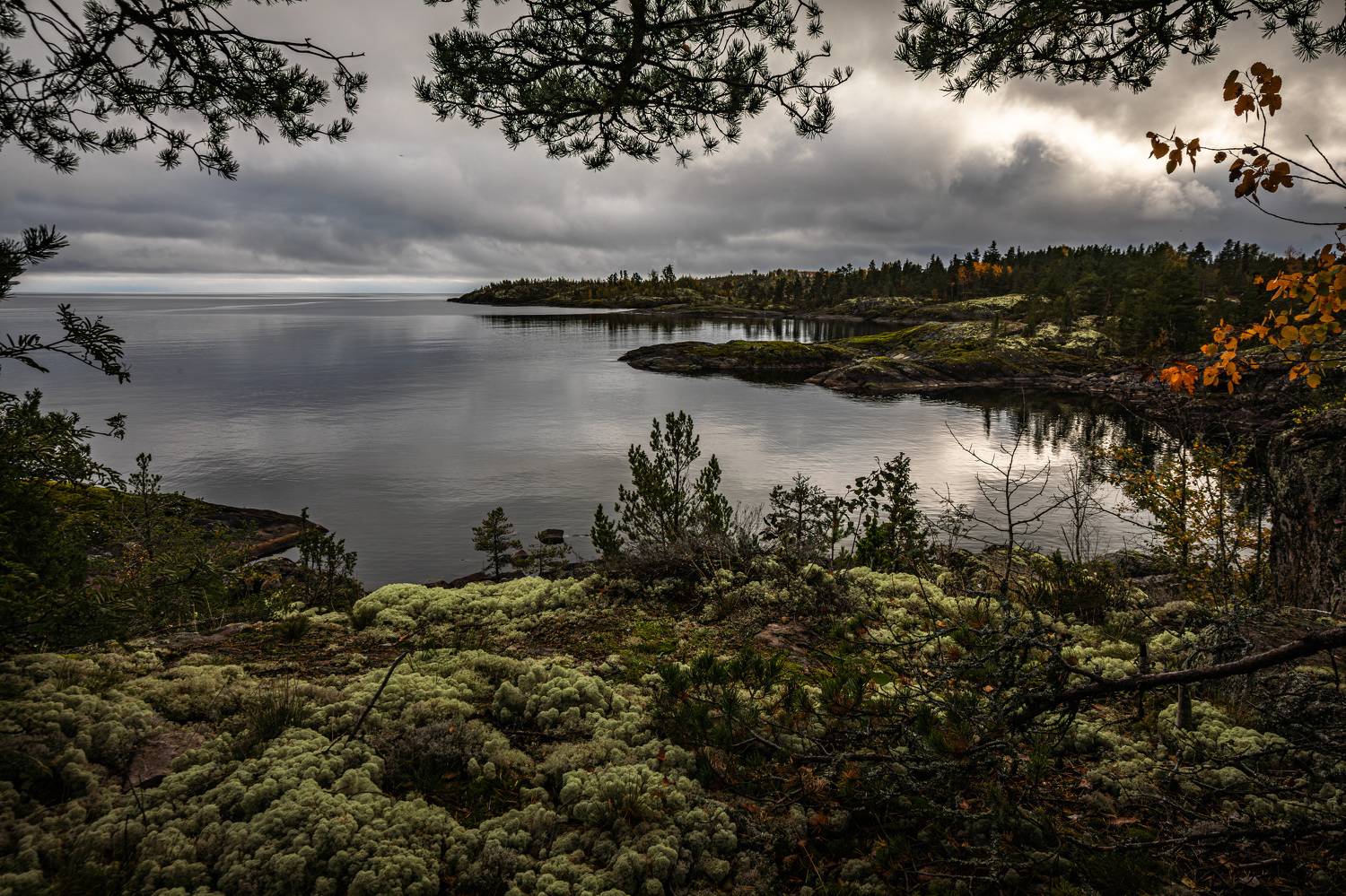 Карелия, Ладога, шхеры, осень, Сергей