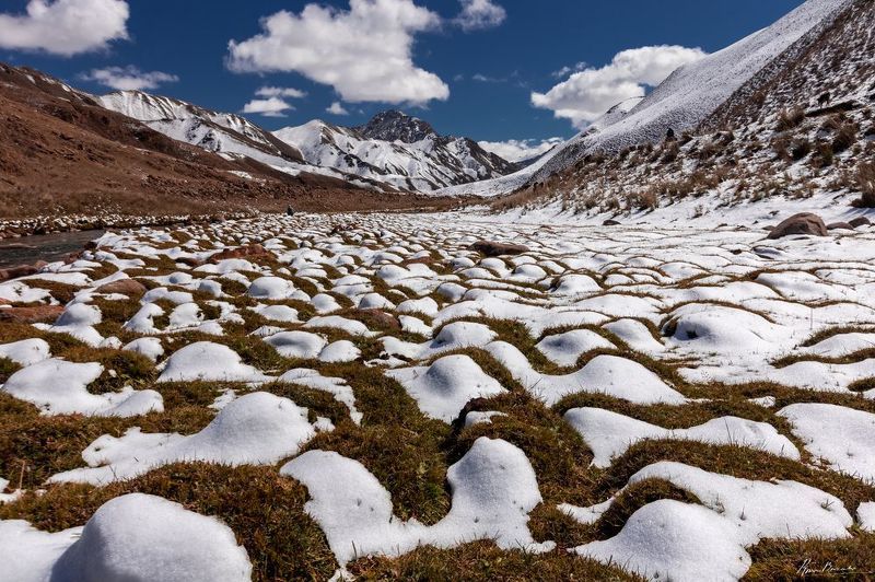 kyrgyzstan, киргизия Snowballs фото превью