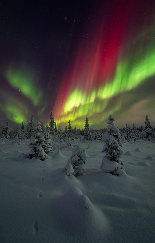 night aurora фото превью