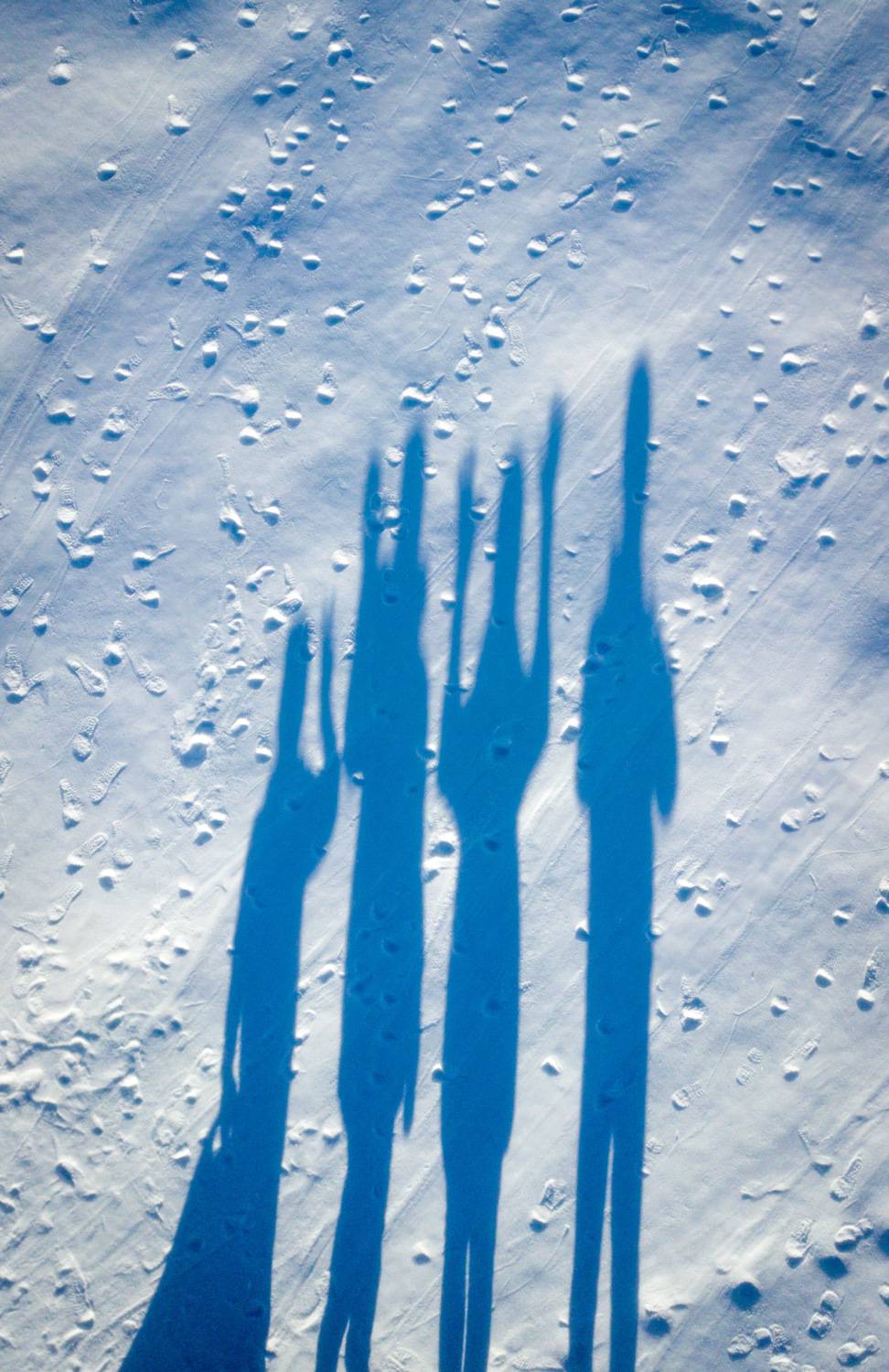 , Сергей Фаренюк