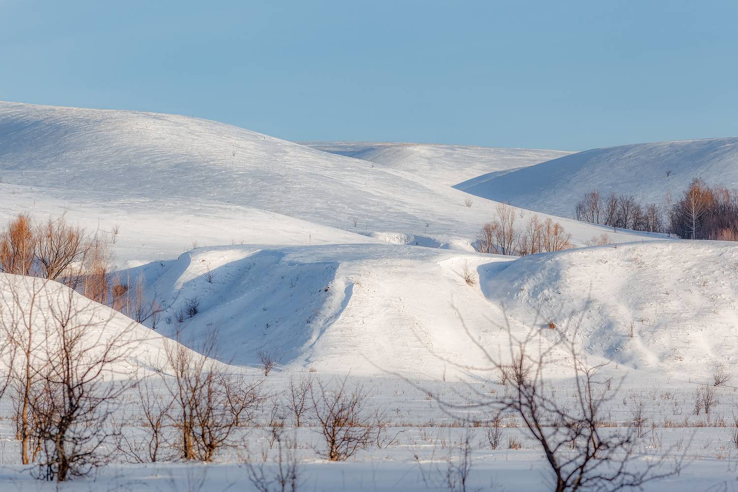 , Никитин Алексей