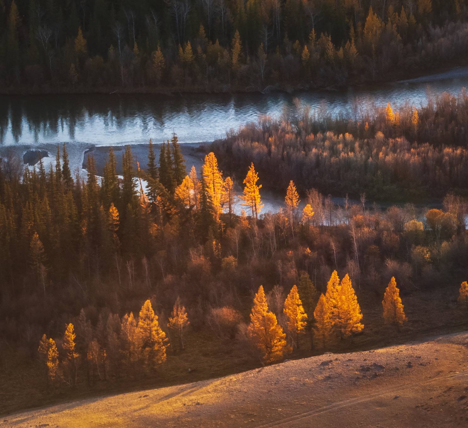 , Владимир Поляков