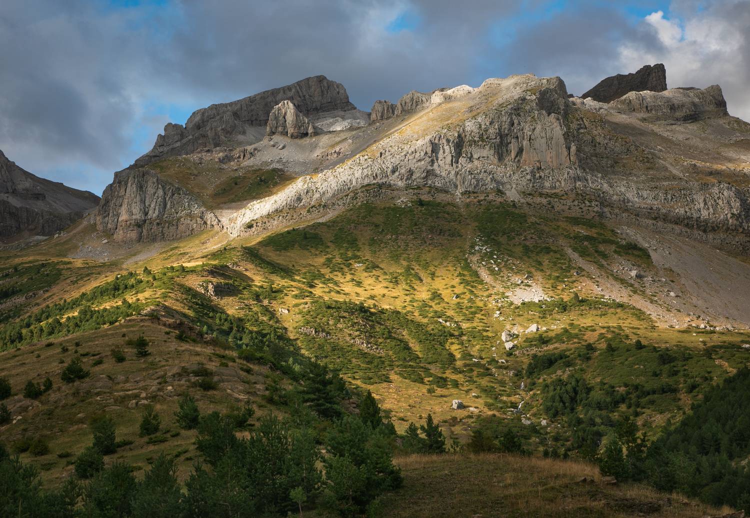 , Алекс Римский