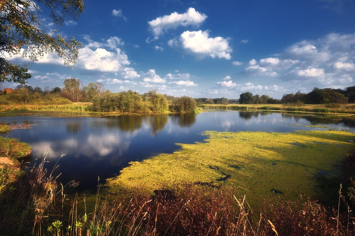 , Алексей Никонов