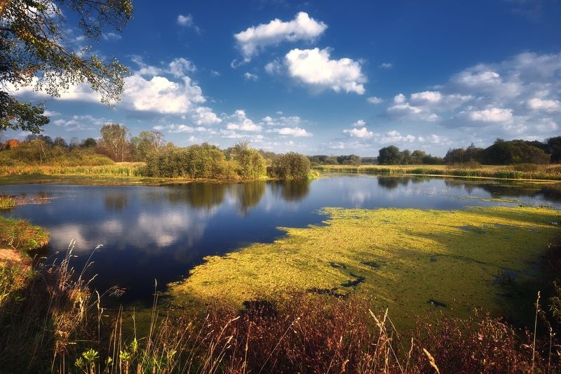 В начале осени... фото превью