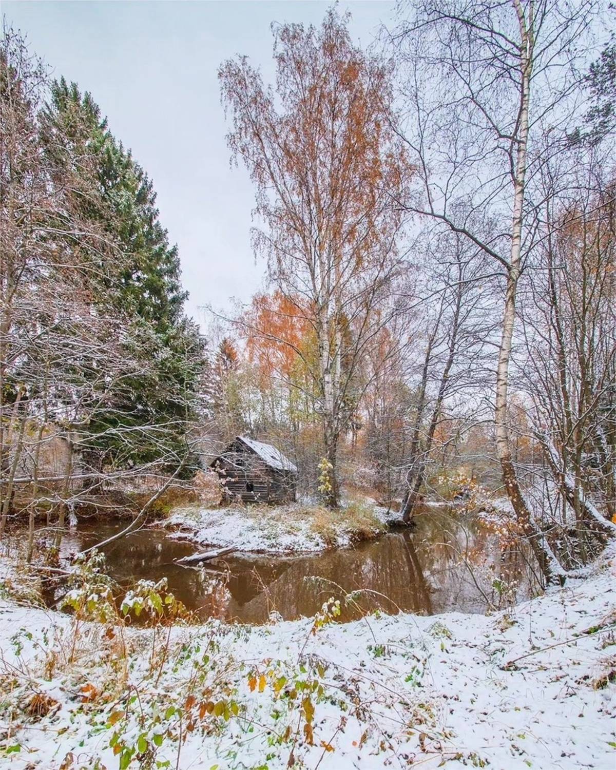 , Петр Косых