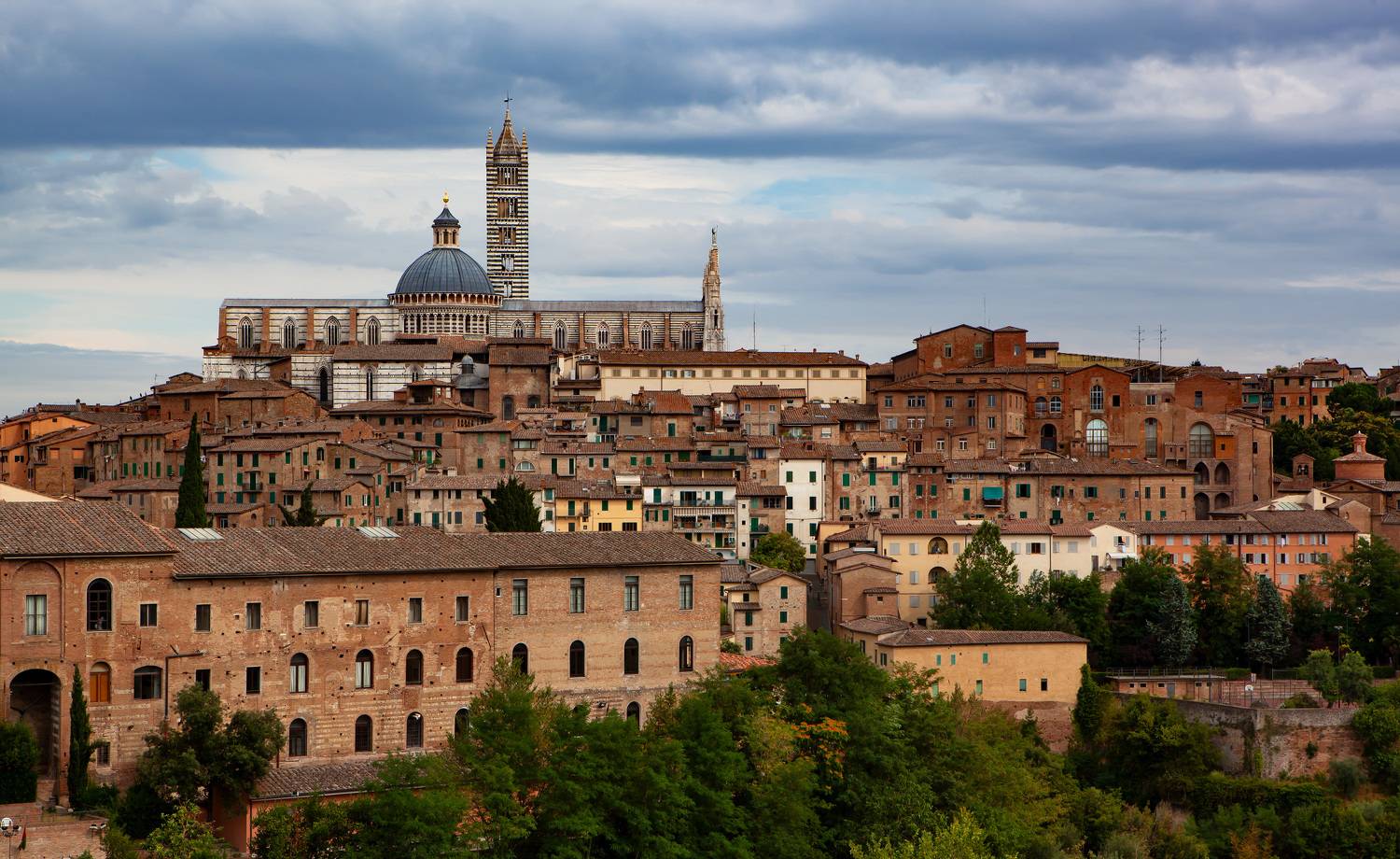 , Игорь Дубровский