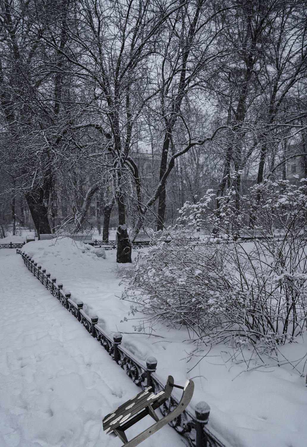 , Ольга Новикова