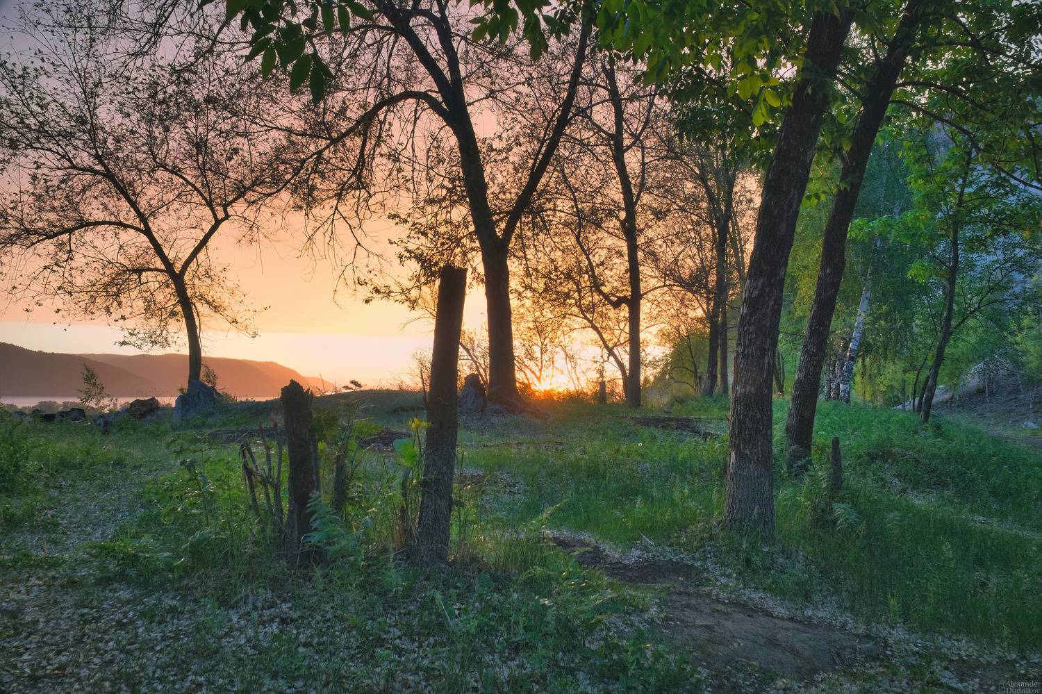 природа, пейзаж, самарская область, landscape, nature, Дудников Александр