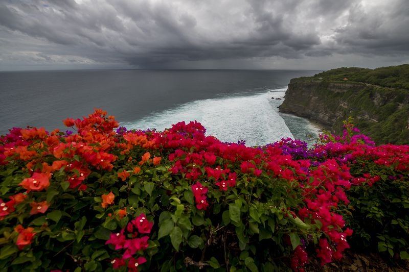 индонезия, indonesia, остров, бали, bali, uluwatu, pura luhur uluwatu, храм, морской храм, улувату, деви дану, индуизм, ачинтья, обезьяна, макак крабоед, яванский макак, macaca fascicularis, григорий беденко, grigoriy bedenko, Uluwatu фото превью
