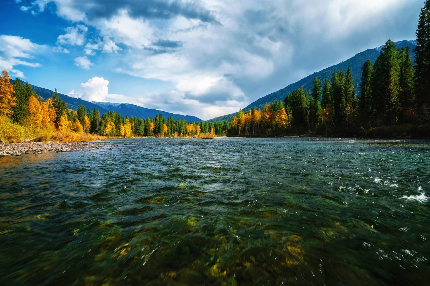 , Nikitin Alexander