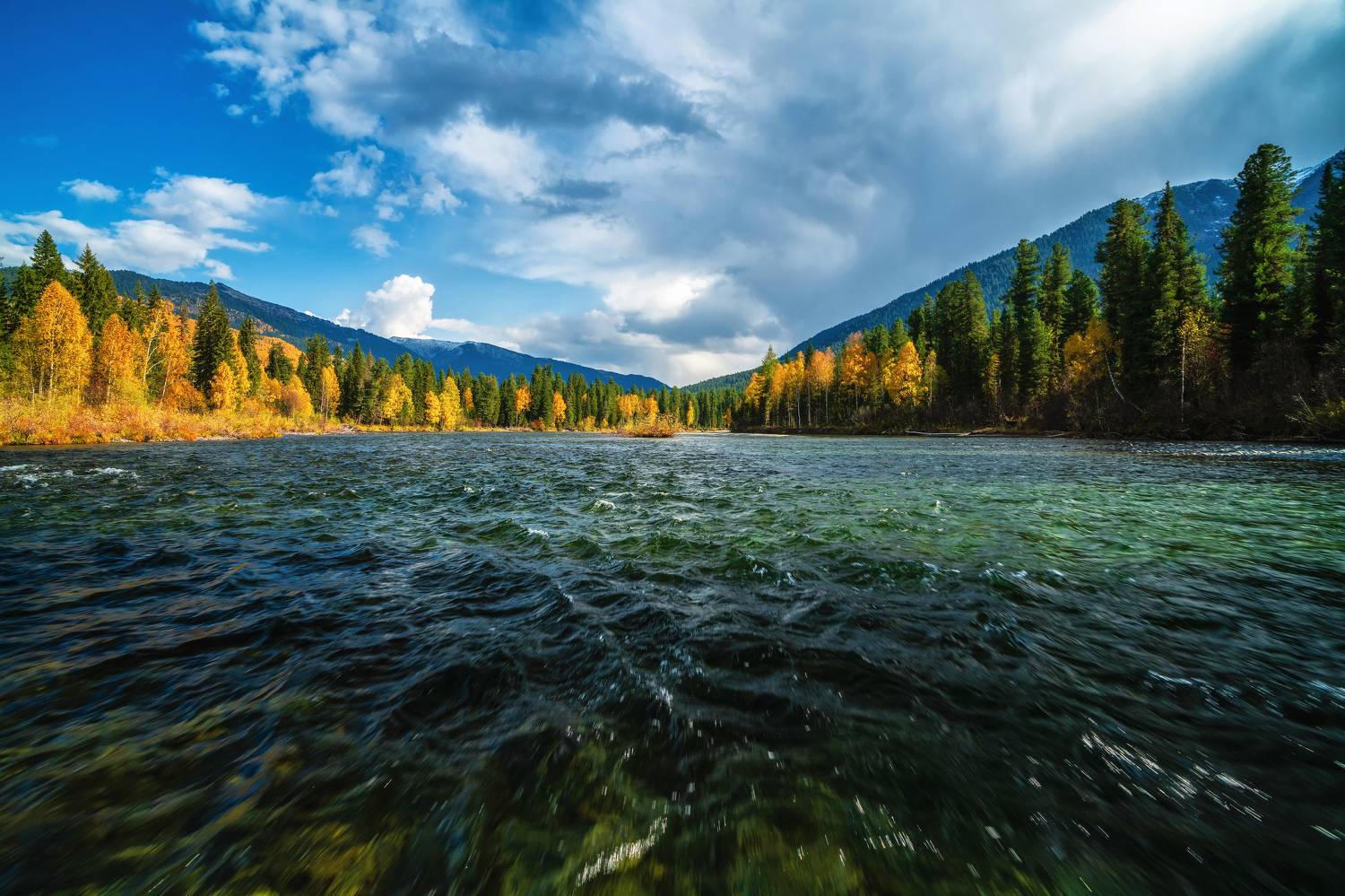 , Nikitin Alexander