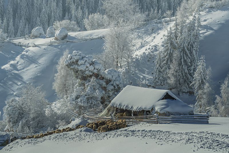 Winter idyll / Зимняя идиллия