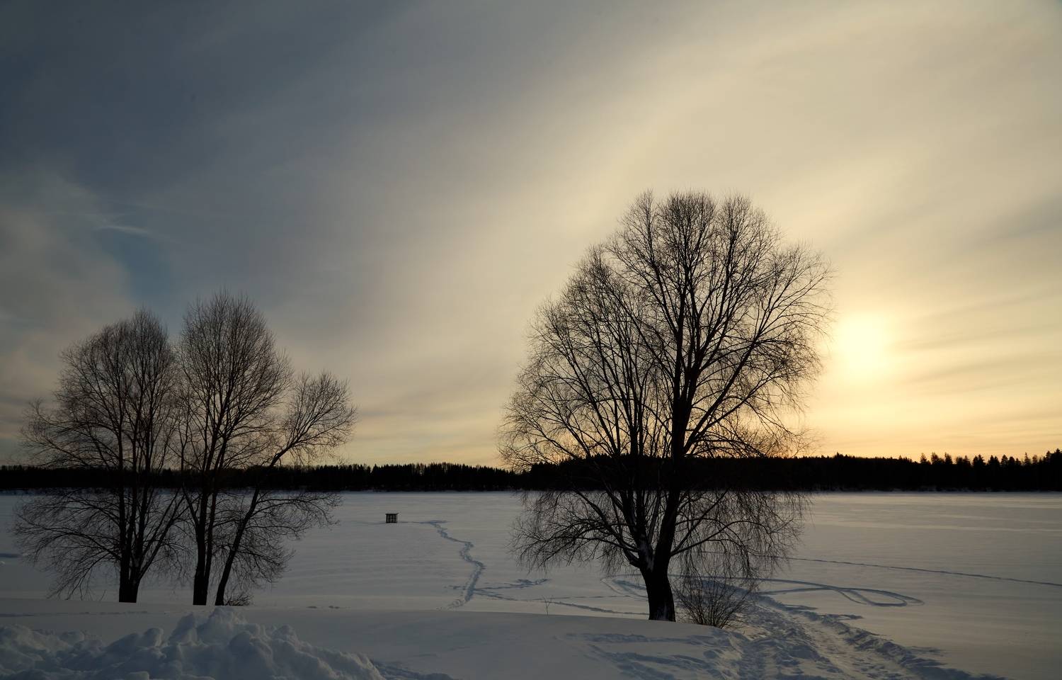 , Александр Шандов
