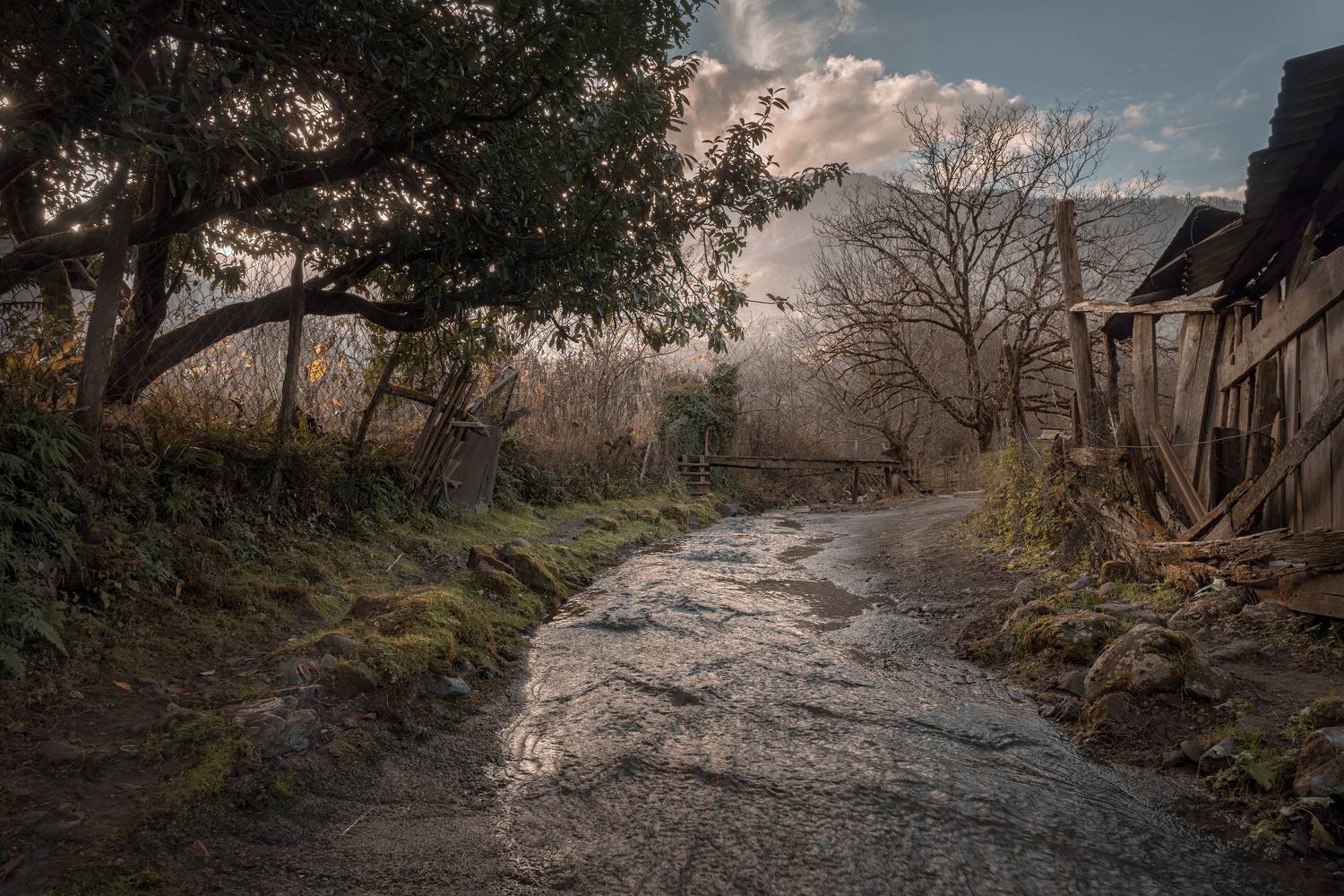 kirnati, street, creek, village, trees, stones, moss, water, stream, nature, landscape, scenery, travel, outdoors, georgia, adjara, sakartvelo, chizh, Чиж Андрей