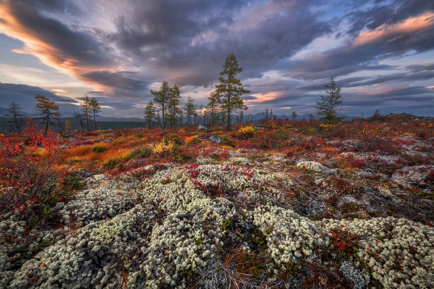 , Максим Евдокимов