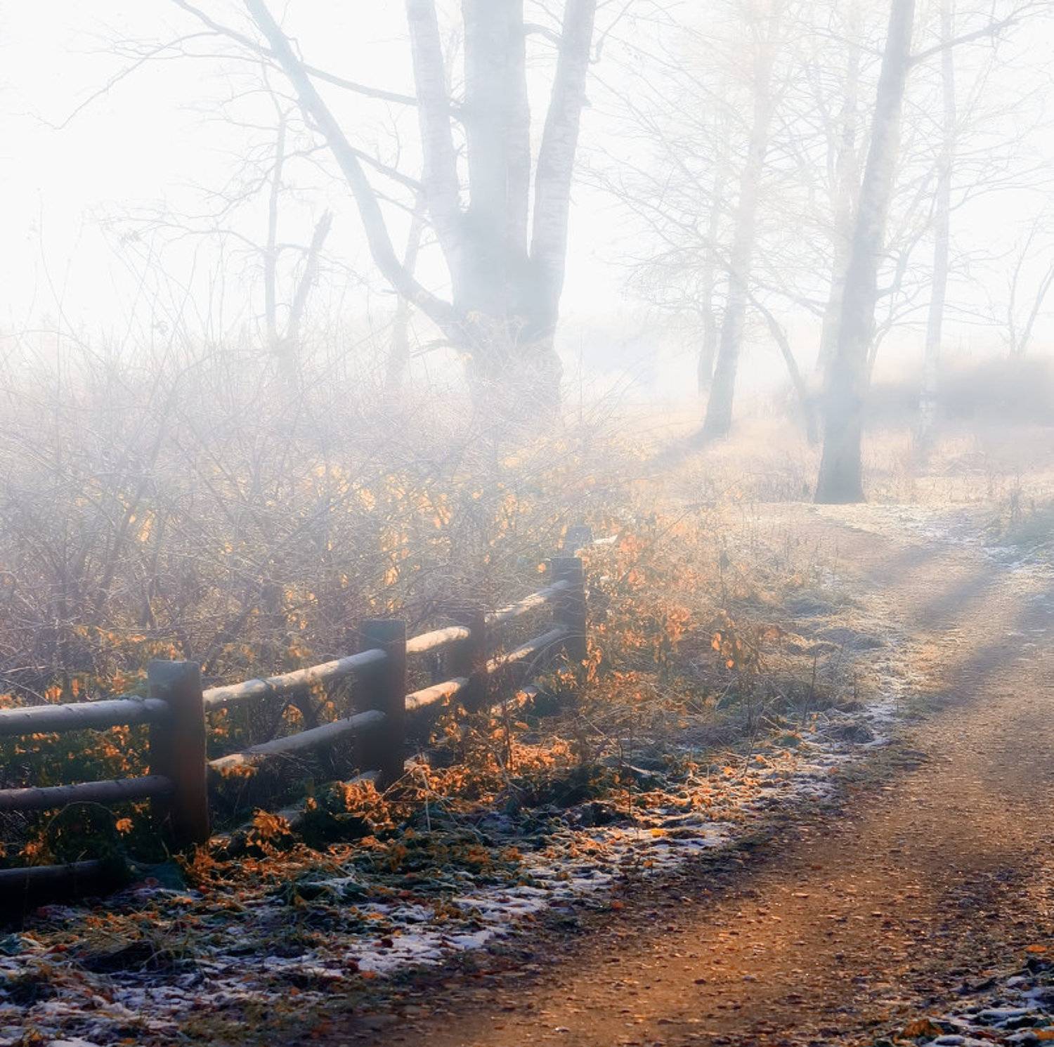 , Сергей Клапишевский
