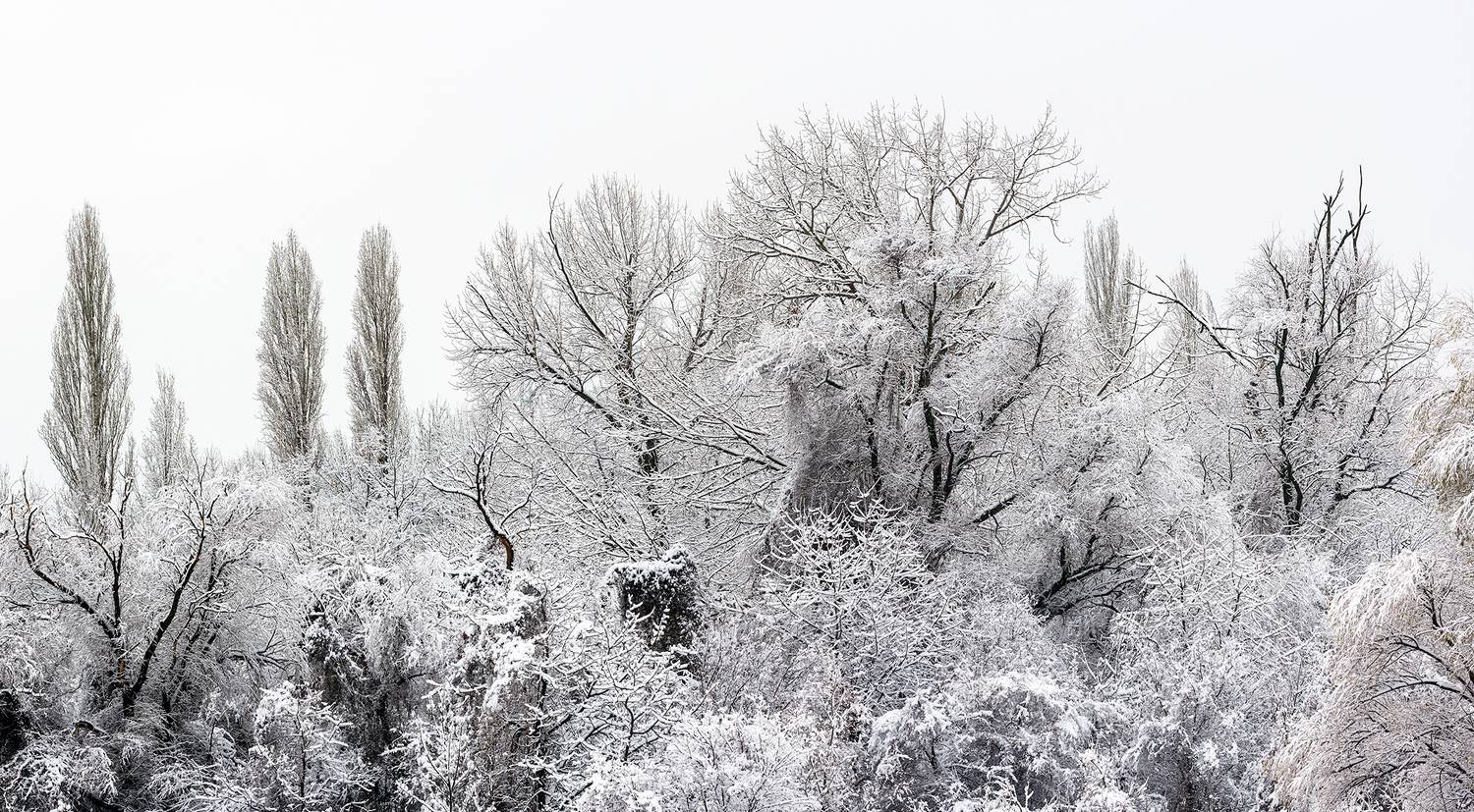 ,  Светослав Радков